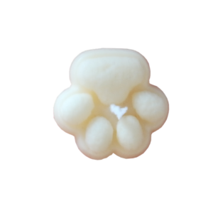Candela zampa orso